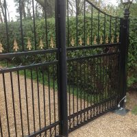 black and gold security gates